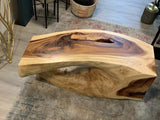 Chamcha Wood Freeform Bench