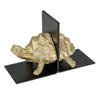Tortoise Bookend