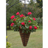 Conical Hanging Planter