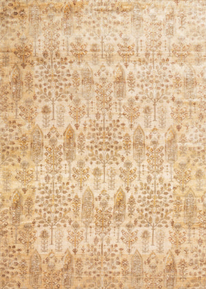 A picture of Loloi's Anastasia rug, in style AF-11, color Ant. Ivory / Gold