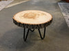 Hairpin Wood Slab Plant Stand