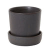 Winsome Pot