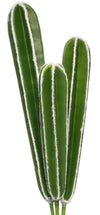 Faux Peruvian Cactus Stems (Set of 3)