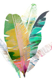 Tropical Collection